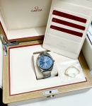 Omega AquaTerra 41mm Master Chronometer 8900 220.10.41.21.03.002