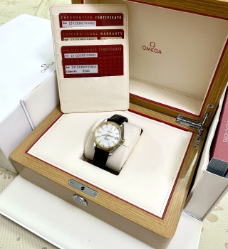 Omega Seamaster AquaTerra MOP Diamond Midsize 231.23.39.21.55.002
