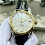 Omega Seamaster AquaTerra MOP Diamond Midsize 231.23.39.21.55.002